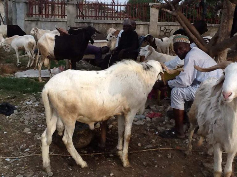 Nigerians toPMB: Introduce Prices Control As Muslims faithful skip Salah Ram