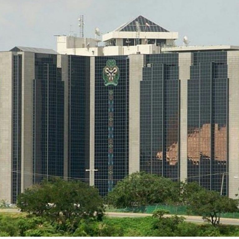 CBN To Assist Onion farmers With Loan To Boost Crop Production.