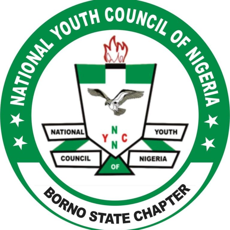 NYCN Condemns Attack on Fadila.