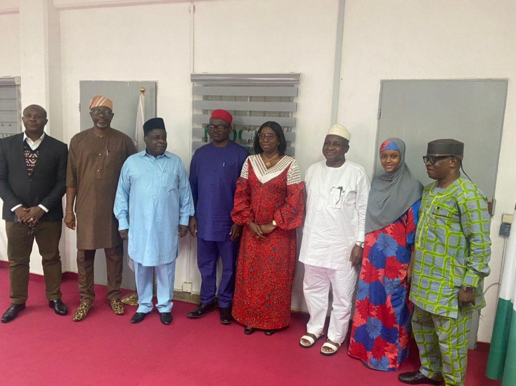 Dabiri-Erewa Thrills by Igbofest Minnesota for Promoting Nigerian Culture Abroad