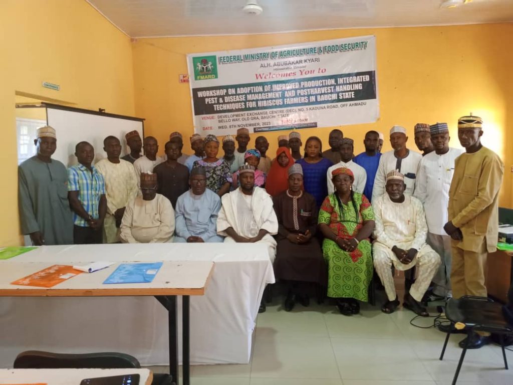 FG trains 60 hibiscus farmers, empowered 100 with farm inputs in Bauchi