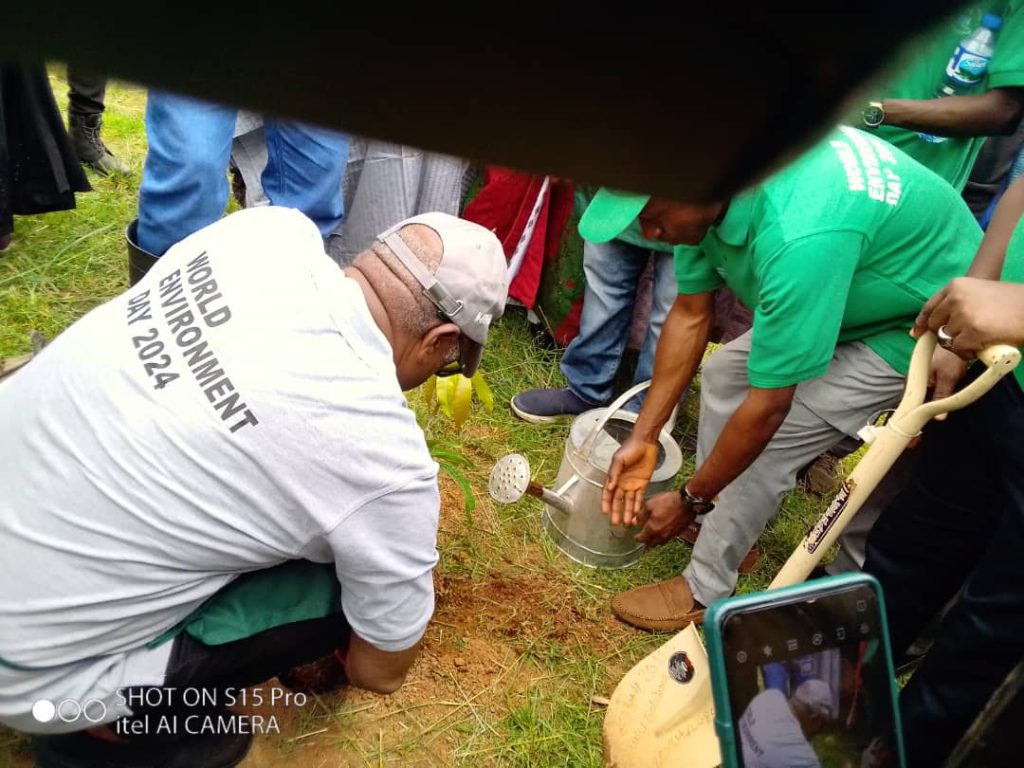 HYPPADEC kicks planting of over 1m economic tree seedlings to curtails environmental degradation in Plateau
