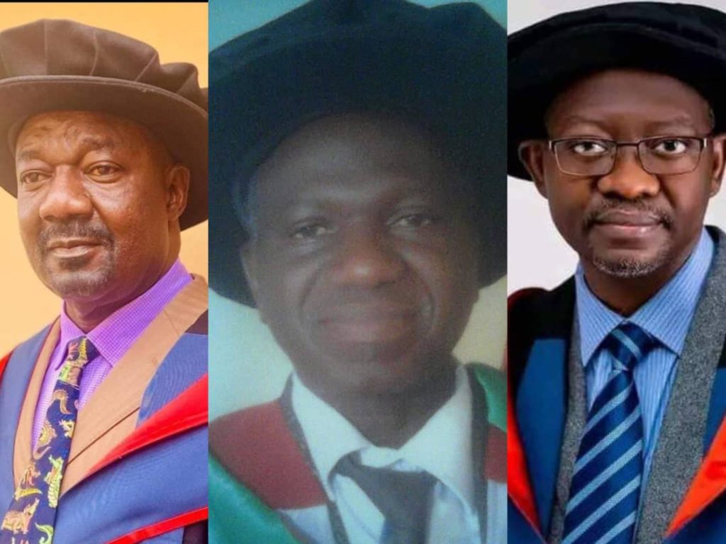Plateau NUJ celebrates Obateru, Adeyi, Danaan over professorship confirmation 