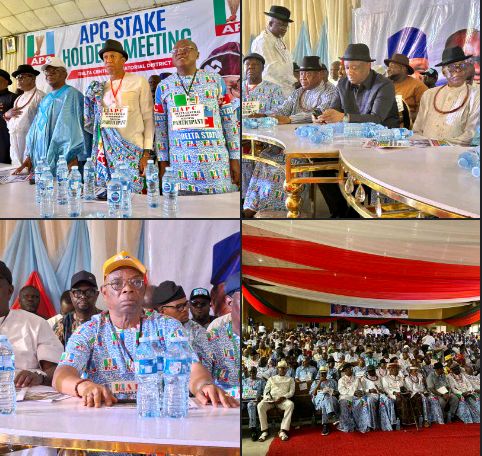 Delta Central APC Stakeholders Pledge Unalloyed Loyalty To Tinubu, Oborevwori In 2027