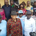 Delta APC Senatorial Primaries: Dafinone, Okowa Win In Central, North