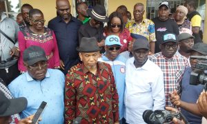 Delta APC Senatorial Primaries: Dafinone, Okowa Win In Central, North