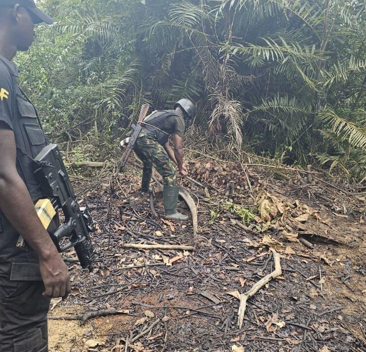 Operation Delta Sentinel: Nigerian Navy Thwarts Attempt to Resuscitate Illegal Refining Network, Destroys Four Sites