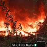 Operation Delta Sentinel: Nigerian Navy Interrupts Illegal Fuel Concealment Syndicate, Recovers 92,660 Litres Of AGO In Rivers