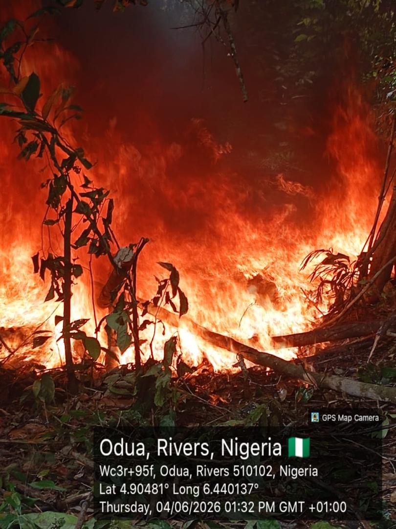 Operation Delta Sentinel: Nigerian Navy Interrupts Illegal Fuel Concealment Syndicate, Recovers 92,660 Litres Of AGO In Rivers