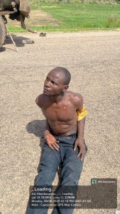 Troops Arrest Two Suspected ISWAP Logistics Suppliers in Borno