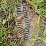 OPFY Troops Target Terrorist Kingpins Najaja, Dogo Gide, and Two Others in Fierce Zamfara Offensive, Neutralise Scores of Fighters