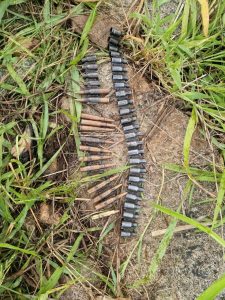 OPFY Troops Target Terrorist Kingpins Najaja, Dogo Gide, and Two Others in Fierce Zamfara Offensive, Neutralise Scores of Fighters