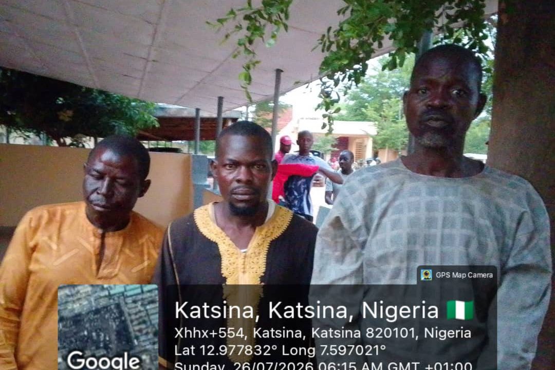 Troops Recover 126 Rustled Livestock, Arrest Suspects In Joint Operation With NDLEA In Katsina