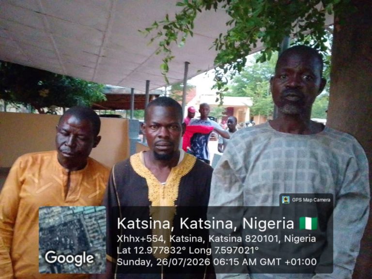 Troops Recover 126 Rustled Livestock, Arrest Suspects In Joint Operation With NDLEA In Katsina